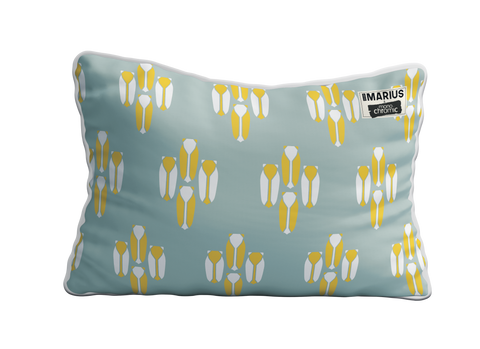 Coussin MONOCHROMIC SUD 40x60 cm